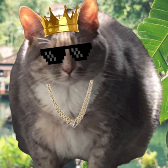 Queen Bea - Picture 1 of 1